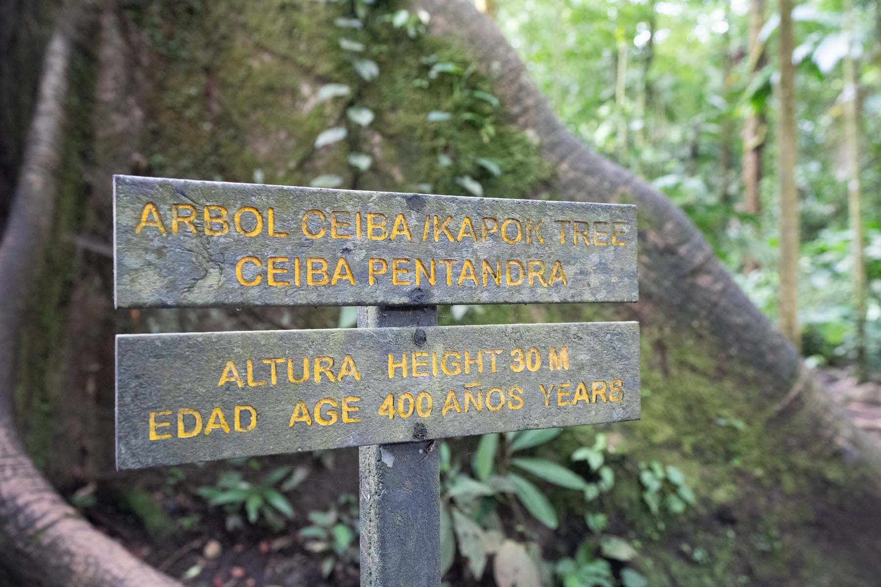 weltreise la fortuna costa rica DSC03465