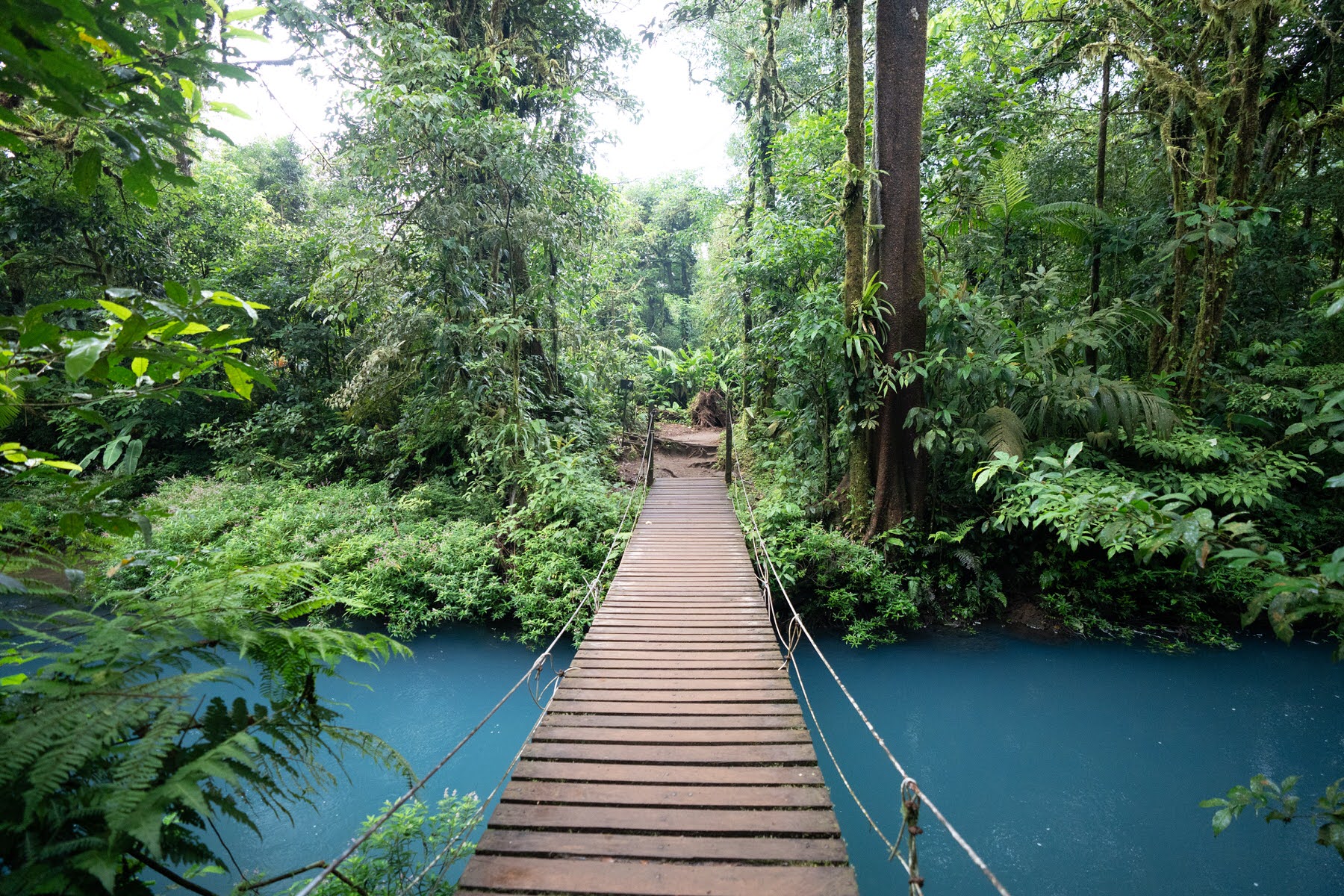 weltreise la fortuna costa rica DSC03544