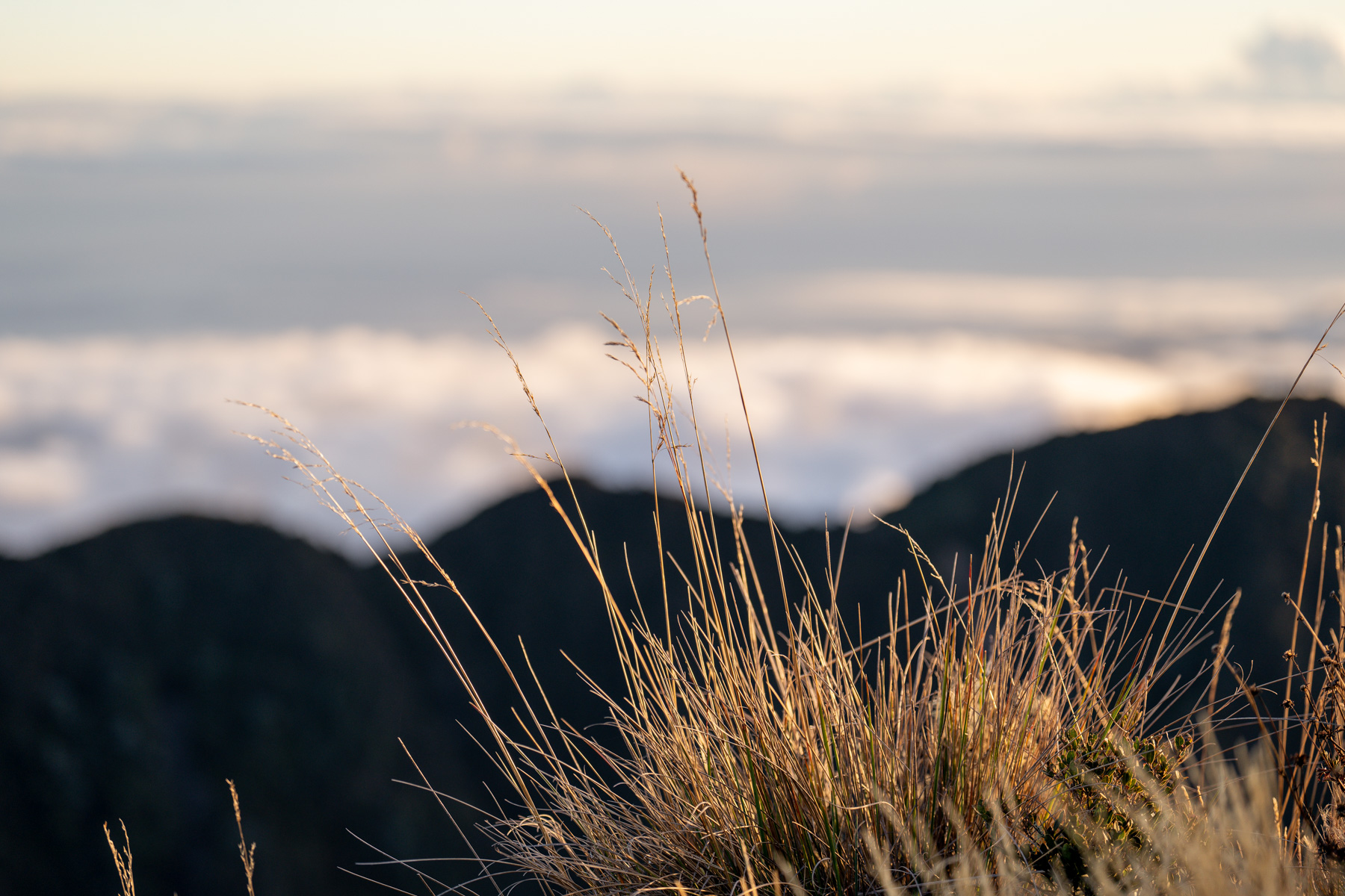 Aufstieg auf den Vulkan Baru 006