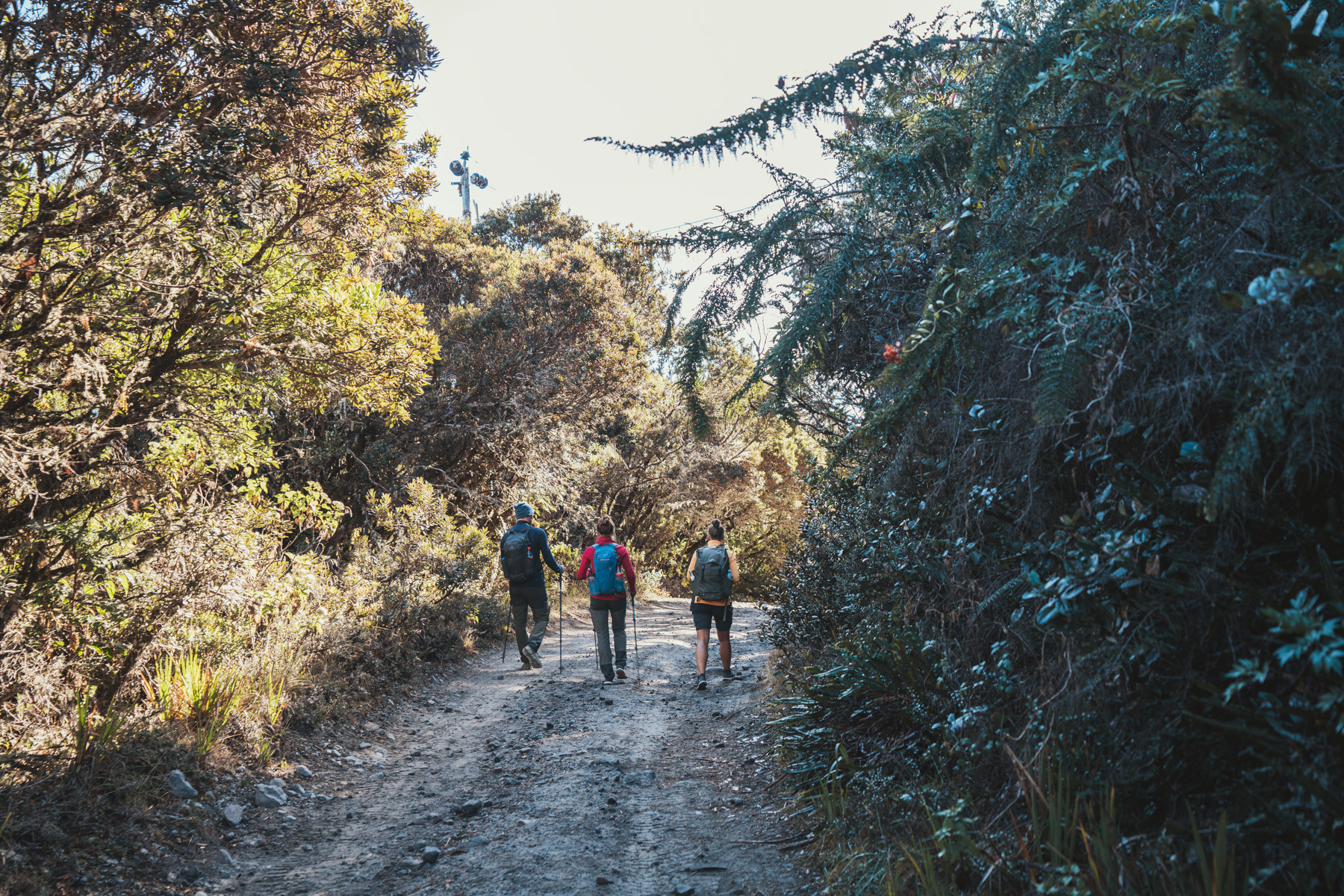 Aufstieg auf den Vulkan Baru 018