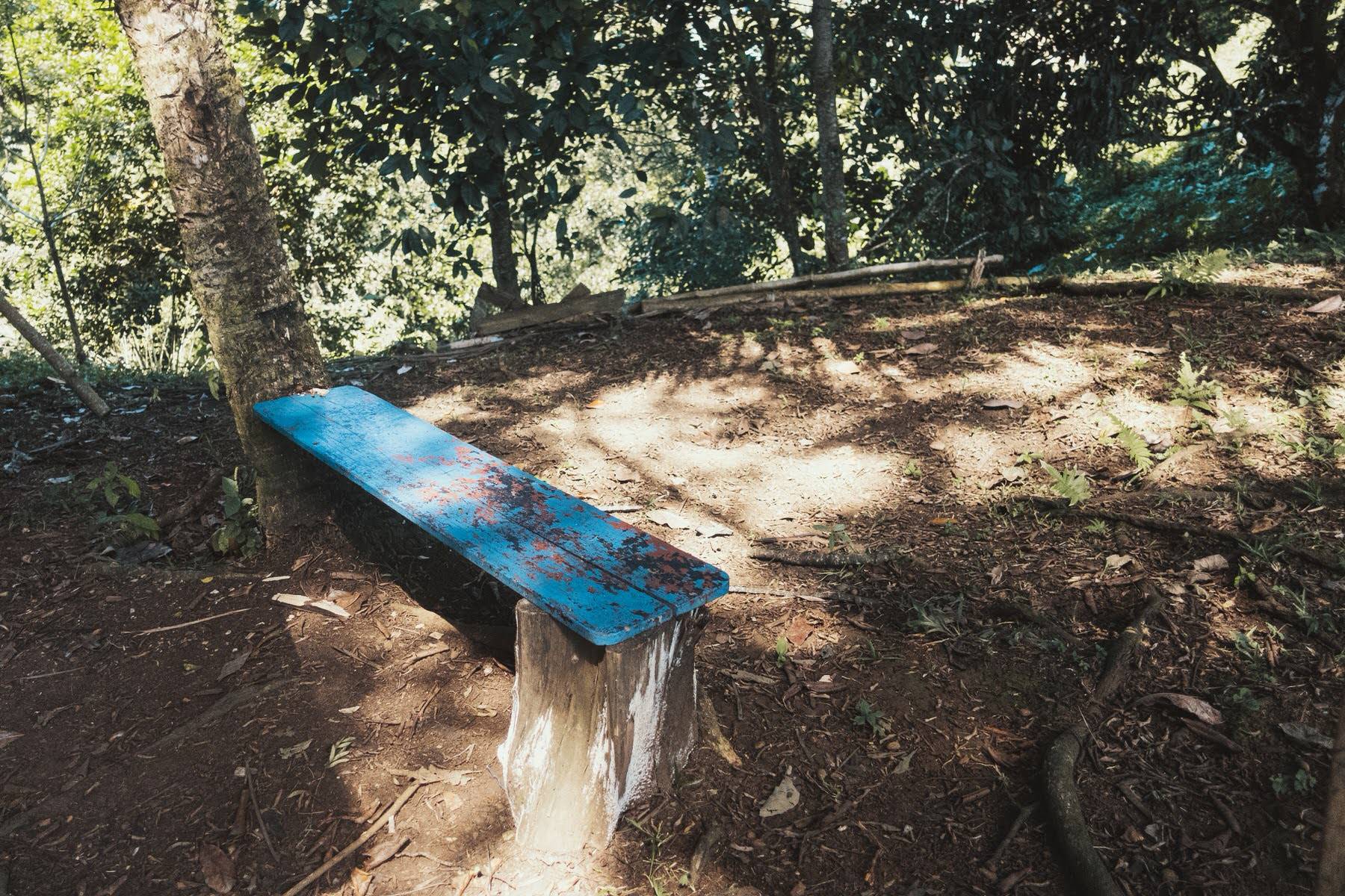 DSC00311 Bocas del Toro