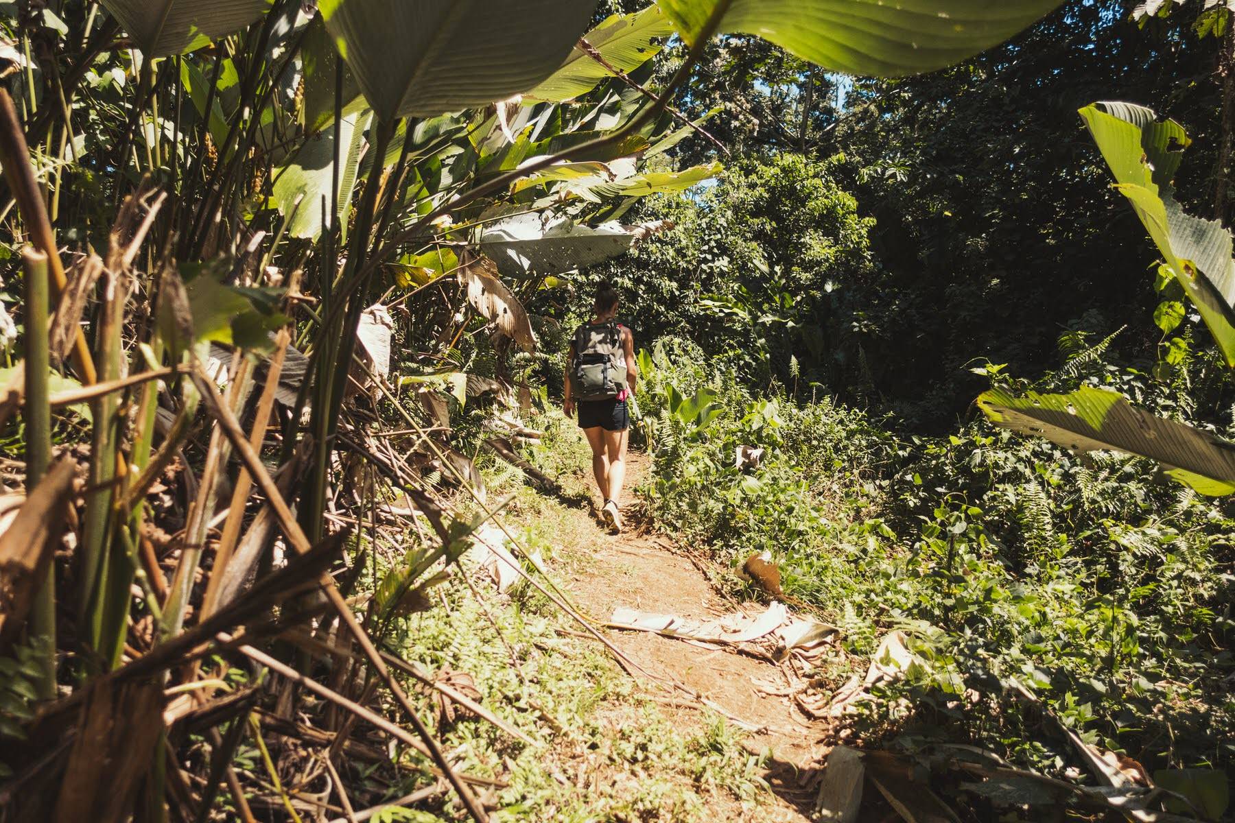 DSC00314 Bocas del Toro