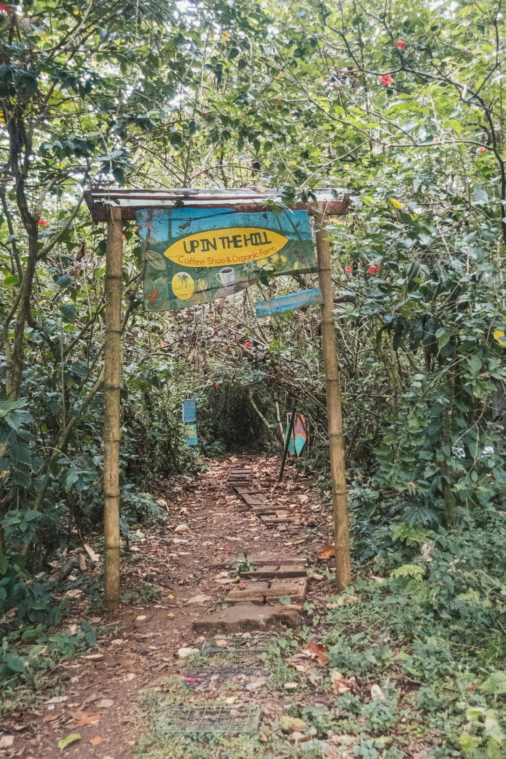 DSC00382 Bocas del Toro