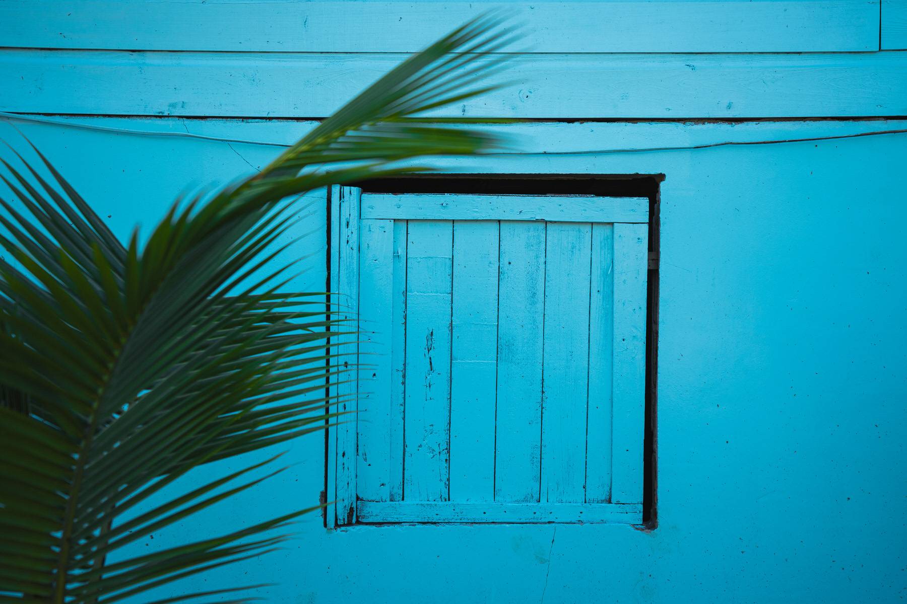 weltbewegend bocas del toro 17