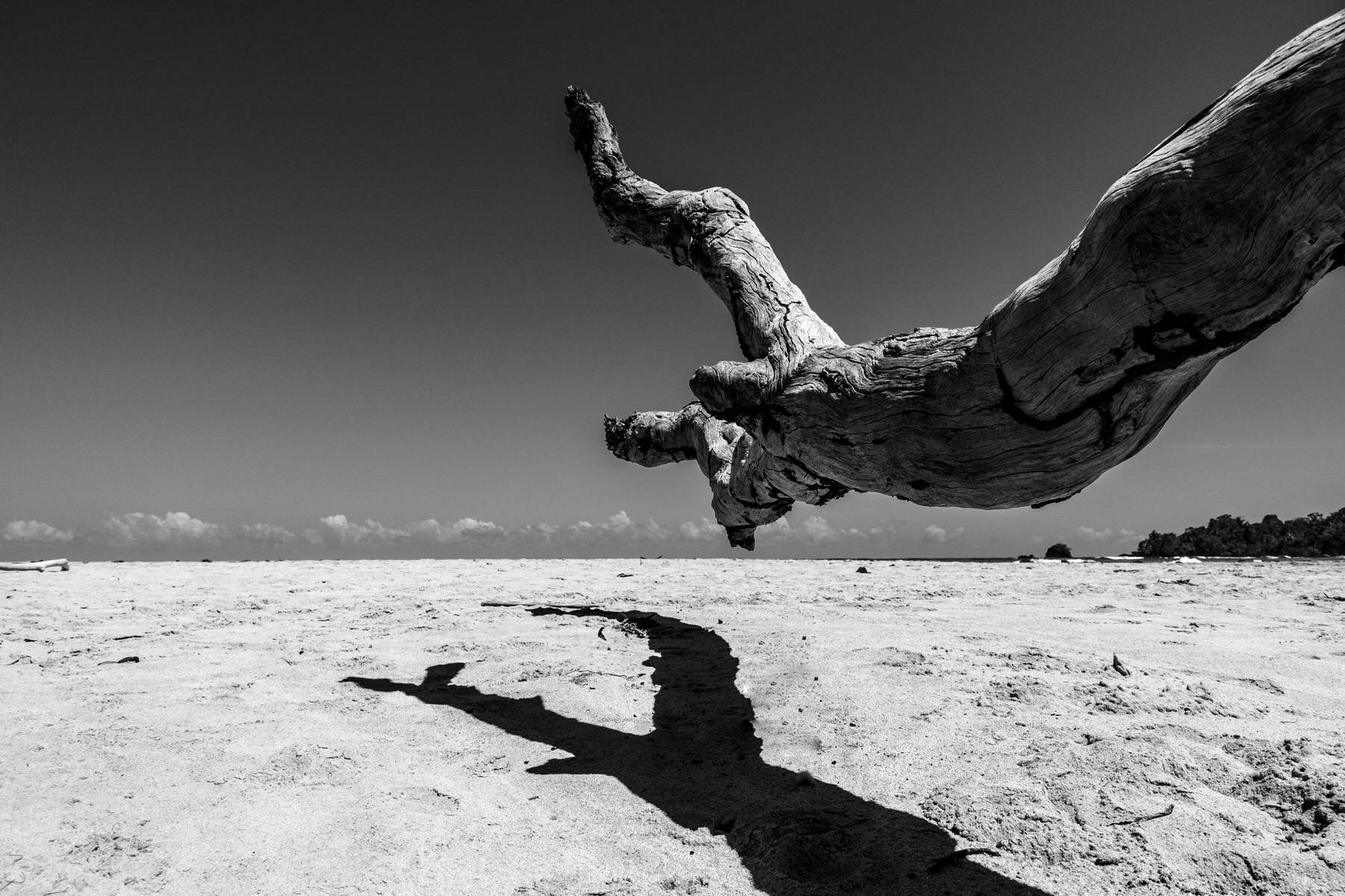 weltbewegend bocas del toro 21