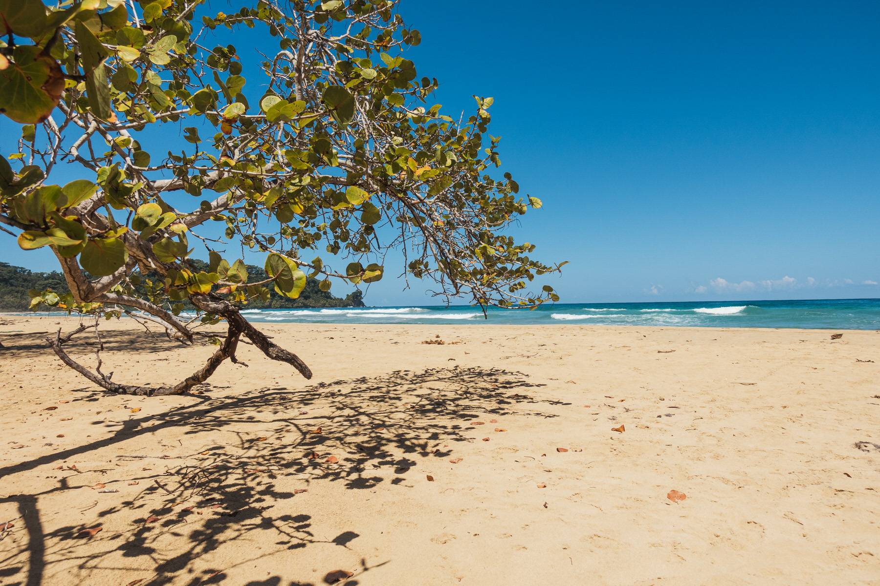 weltbewegend bocas del toro 22