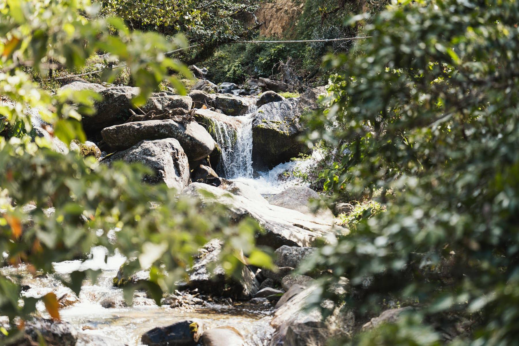 weltbewegend boquete 14